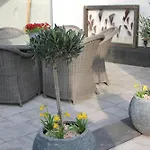 Geuldal Guest 法尔肯堡