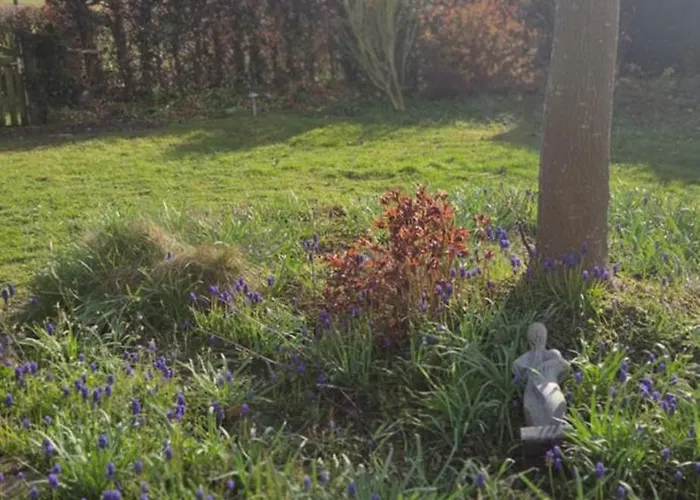 Geuldal Guest Valkenburg aan de Geul